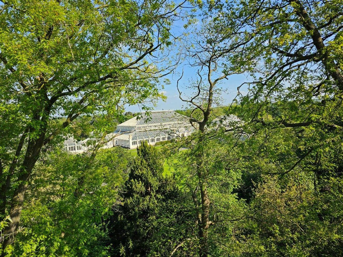 Grand arbre dans un parc