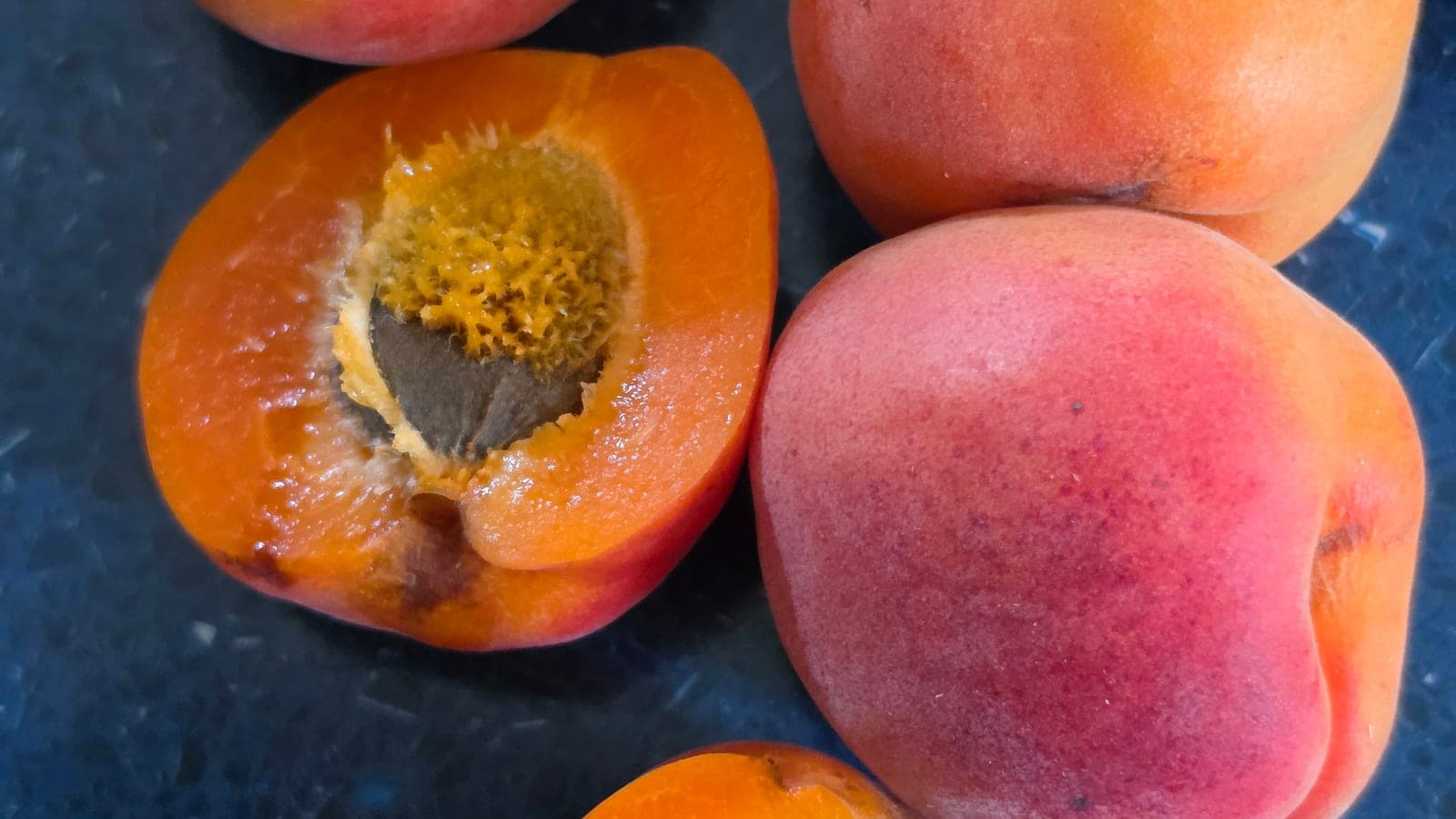 Abricots dont l’un est ouvert en deux : le noyau apparaît, logé au creux de la chair orange. Cette coque appartient au fruit ; la graine, elle, est enfermée dedans. (Photo Manuel Ferreira.)