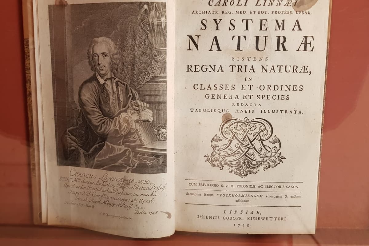 Le Systema Naturae de Linné ouvert sous vitrine, montrant le portrait gravé de l’auteur en regard de la page de titre