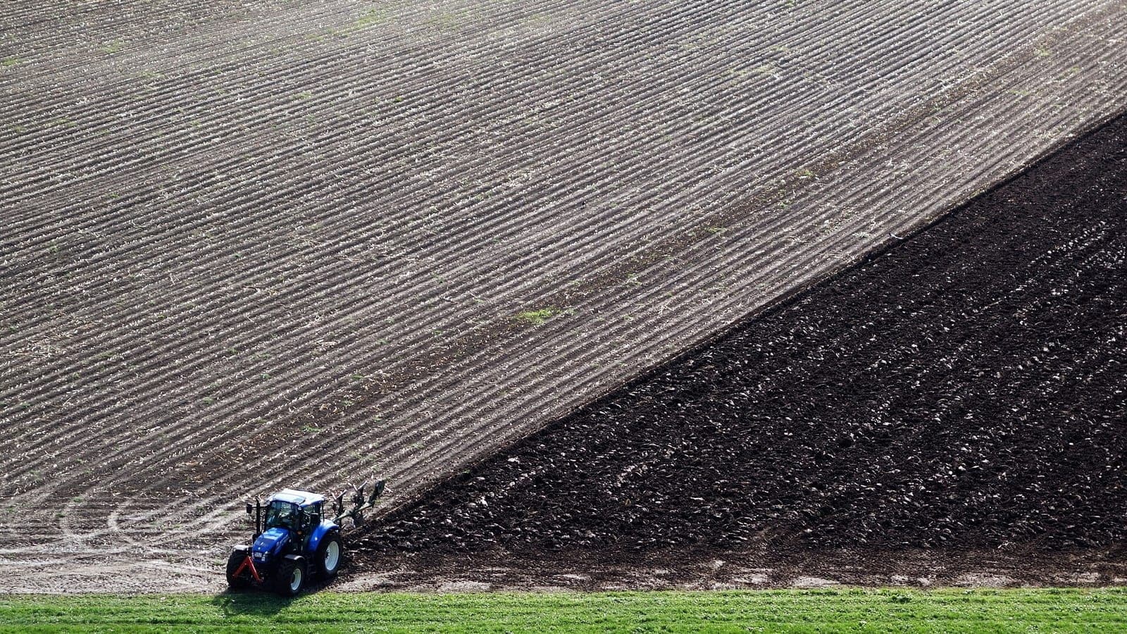 Champ à moitié labouré vu de haut : une diagonale nette sépare le chaume clair de la terre retournée, sombre, avec le tracteur au travail. (Photo Karl432, CC BY-SA 3.0.)