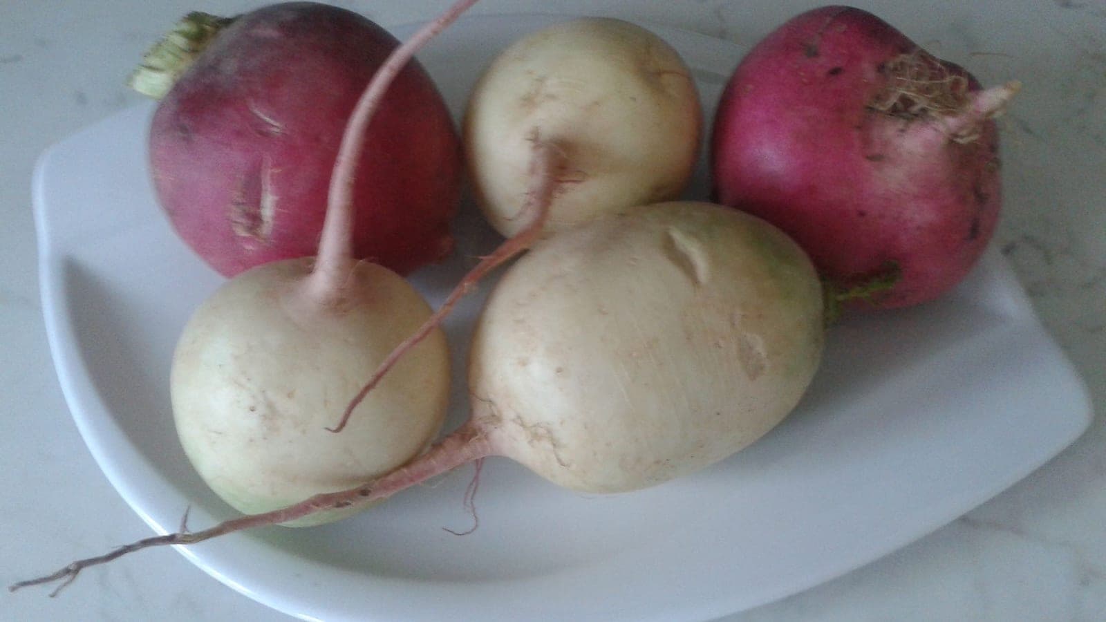 Cinq navets : la queue rose qui court sous le renflement est la seule vraie racine de la plante. La boule, elle, est un hypocotyle - le segment de tige compris entre la racine et les premières feuilles. (Photo E4024, CC BY-SA 4.0.)
