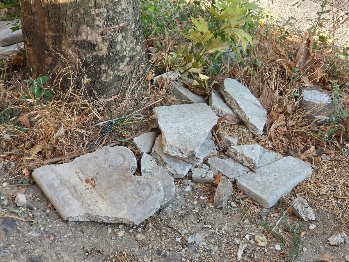 Tas de gravats de béton cassé déposé au pied d’un tronc d’arbre, parmi les herbes sèches et les feuilles mortes