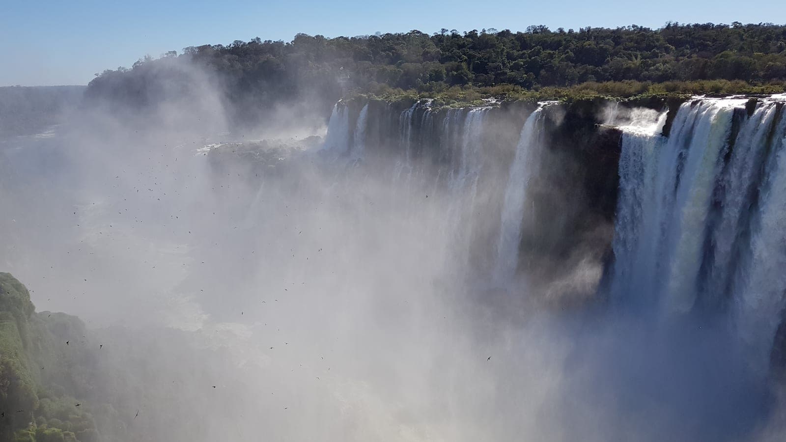 Chutes d’Iguazú, côté argentin : un panache de vapeur remonte du gouffre vers la forêt. Une part des pluies de ce bassin a été mise en route à des milliers de kilomètres, par l’Amazonie. (Photo Manuel Ferreira.)