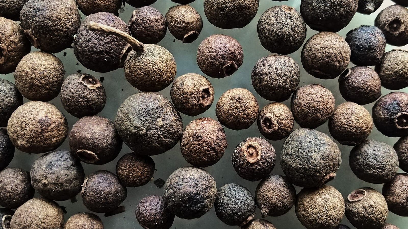 Baies séchées de piment de la Jamaïque. Chacune est un seul fruit, celui d’un arbre des Antilles, et pourtant on l’appelle « quatre-épices ». (Photo Tarasna0922, CC BY-SA 4.0.)