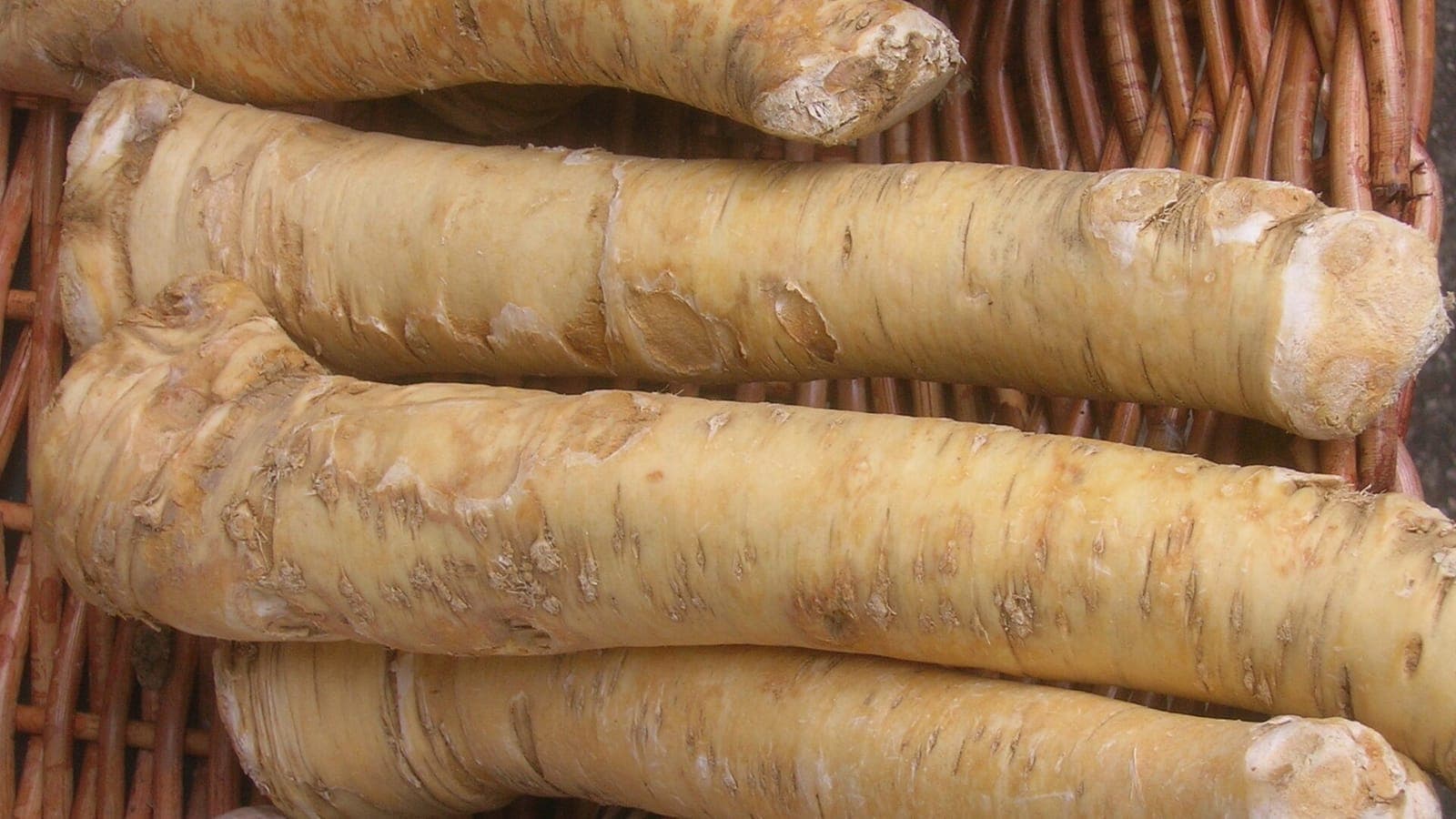 Racines de raifort au marché. C’est elle, râpée et colorée en vert, qui remplit le plus souvent nos tubes de « wasabi ». (Photo Anna reg, CC BY-SA 3.0.)