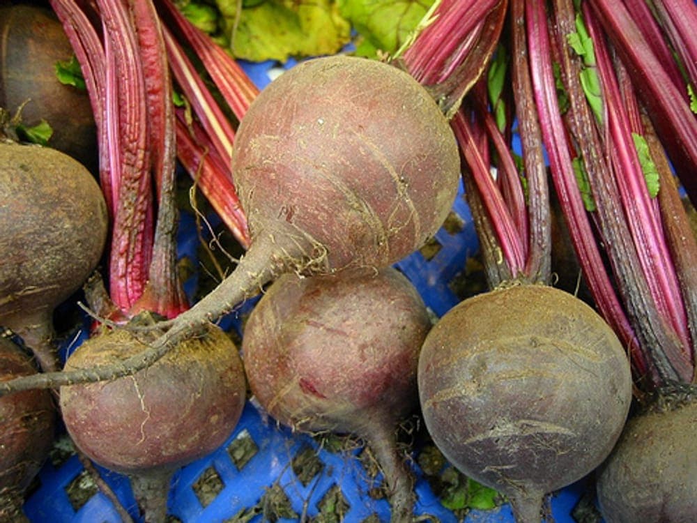 Betteraves rouges