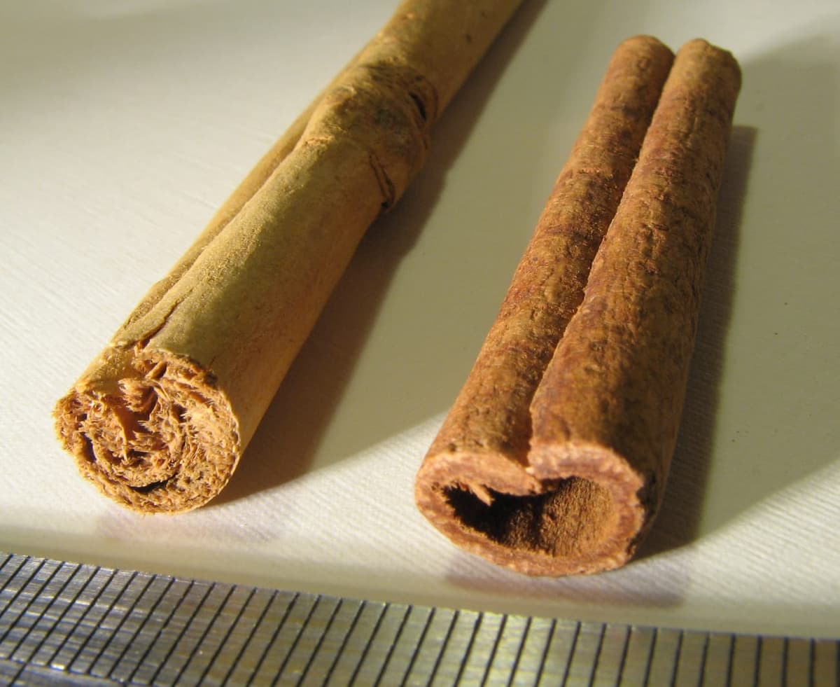 Deux bâtons de cannelle comparés : à gauche le Ceylan à fines couches, à droite la cassia à couche unique épaisse