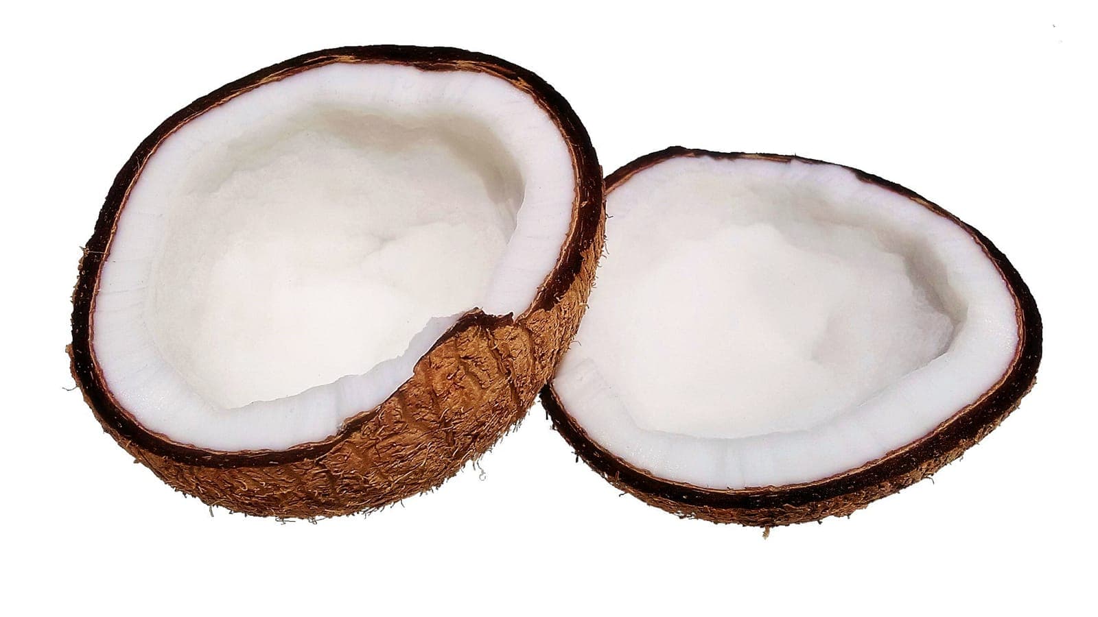 Noix de coco ouverte en deux : la coque brune (endocarpe) et la chair blanche (l’albumen de la graine). Botaniquement, la coco n’est pas une noix mais une drupe. (Photo Filo gèn’, CC BY-SA 4.0.)