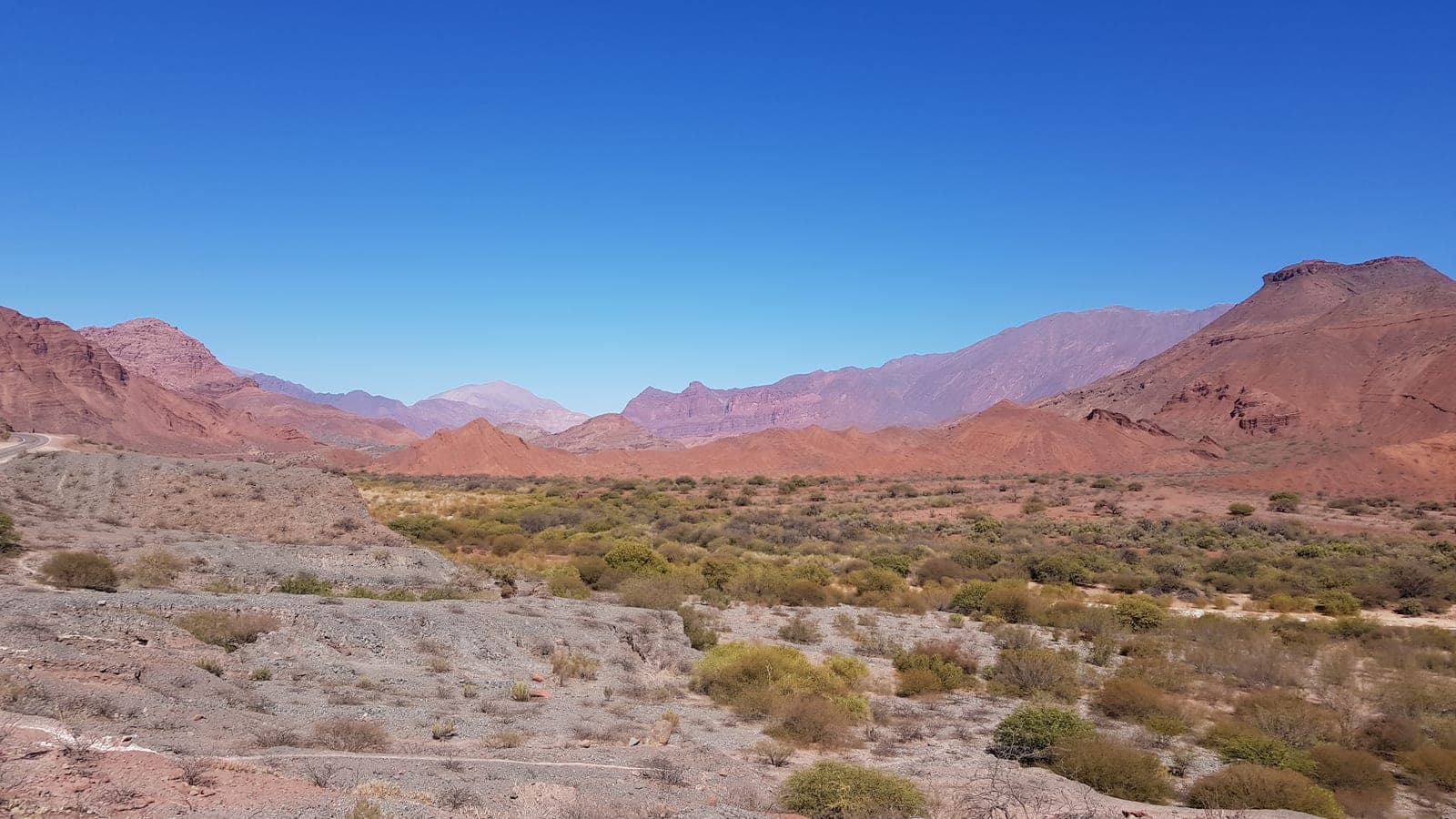 Vallée aride du nord-ouest de l’Argentine : montagnes rouges, sol de cailloux clairs, et des buissons partout. Un désert, sans une dune - et loin d’être vide. (Photo Manuel Ferreira.)
