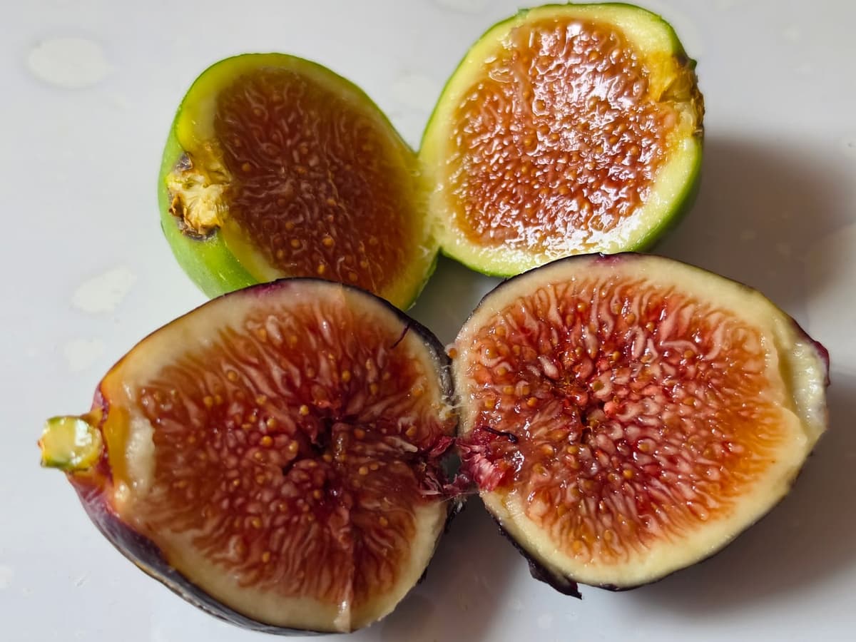 Quatre moitiés de figues, deux à peau verte et deux à peau violette, montrant la cavité tapissée de filaments serrés et de petits grains