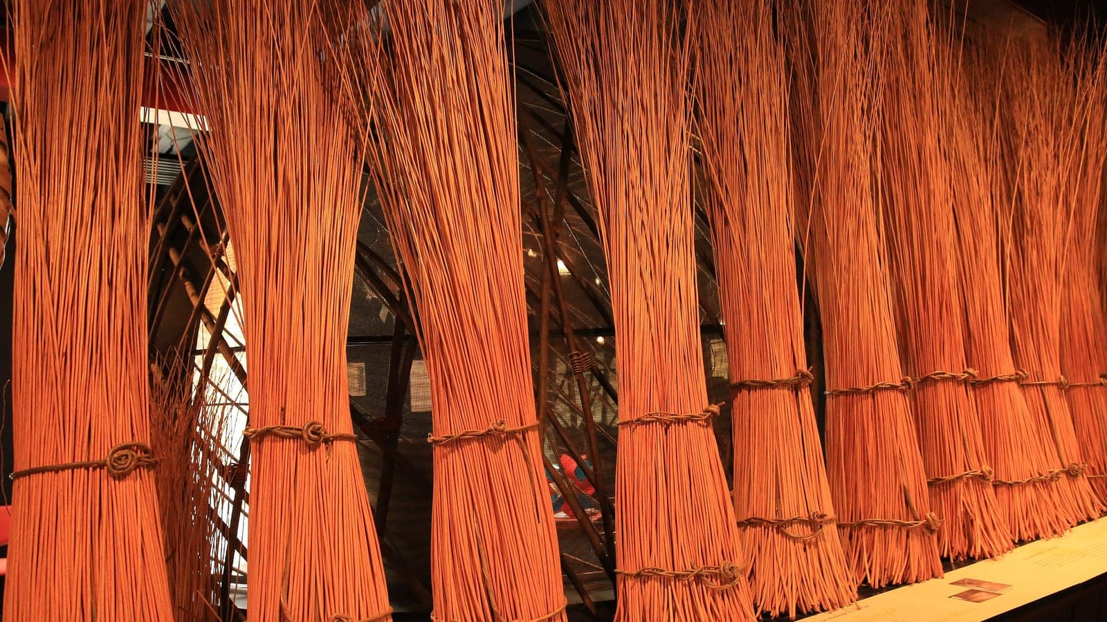Bottes d’osier brut dressées au musée de la vannerie de Villaines-les-Rochers : des milliers de rameaux de saule, longs, droits et sans une ramification. (Photo Als33120, CC BY-SA 4.0.)