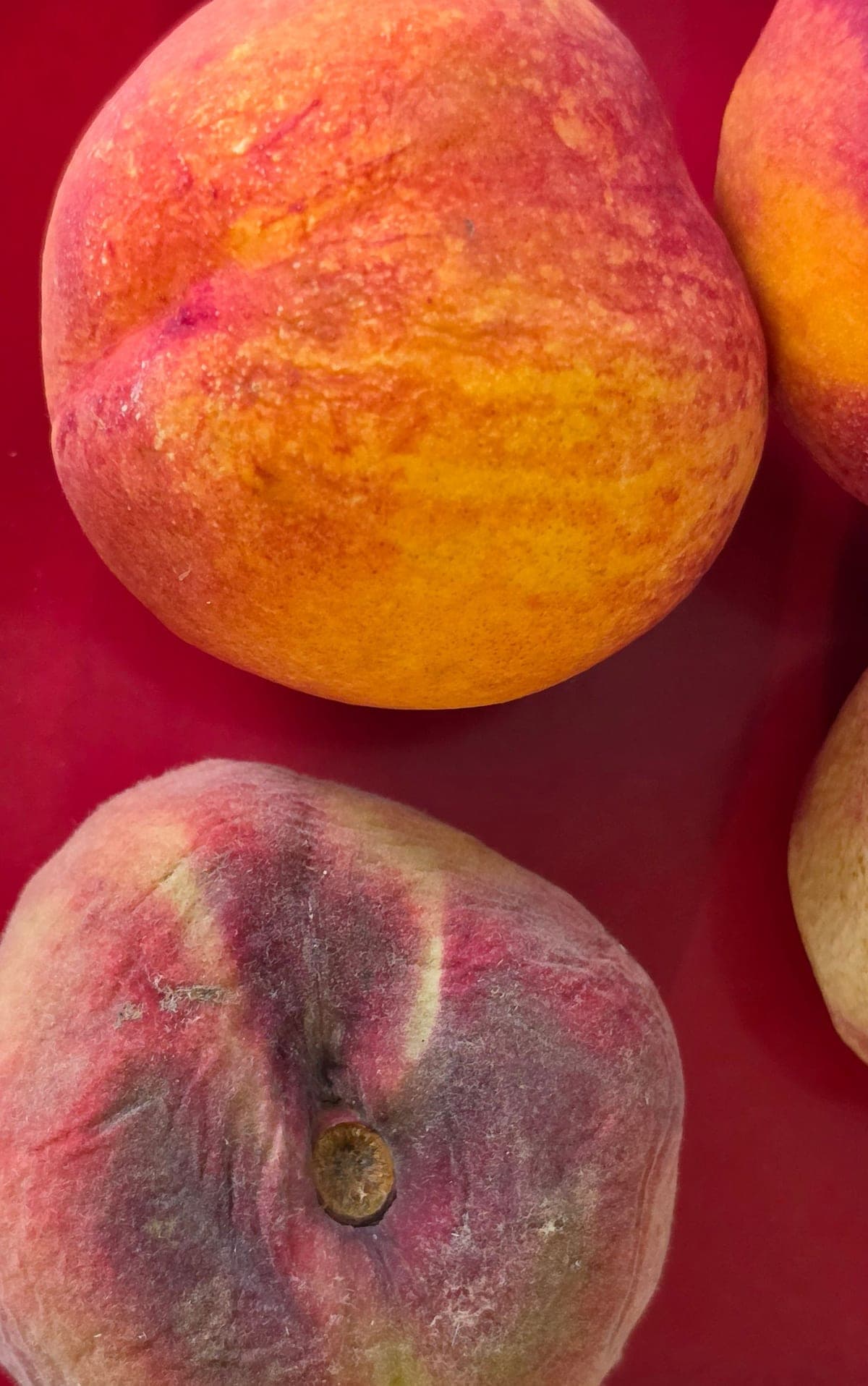 Deux fruits dans une assiette rouge : en haut, un fruit à peau lisse et brillante, orange et rouge ; en bas, un fruit mat, au fini poudré, rouge et vert