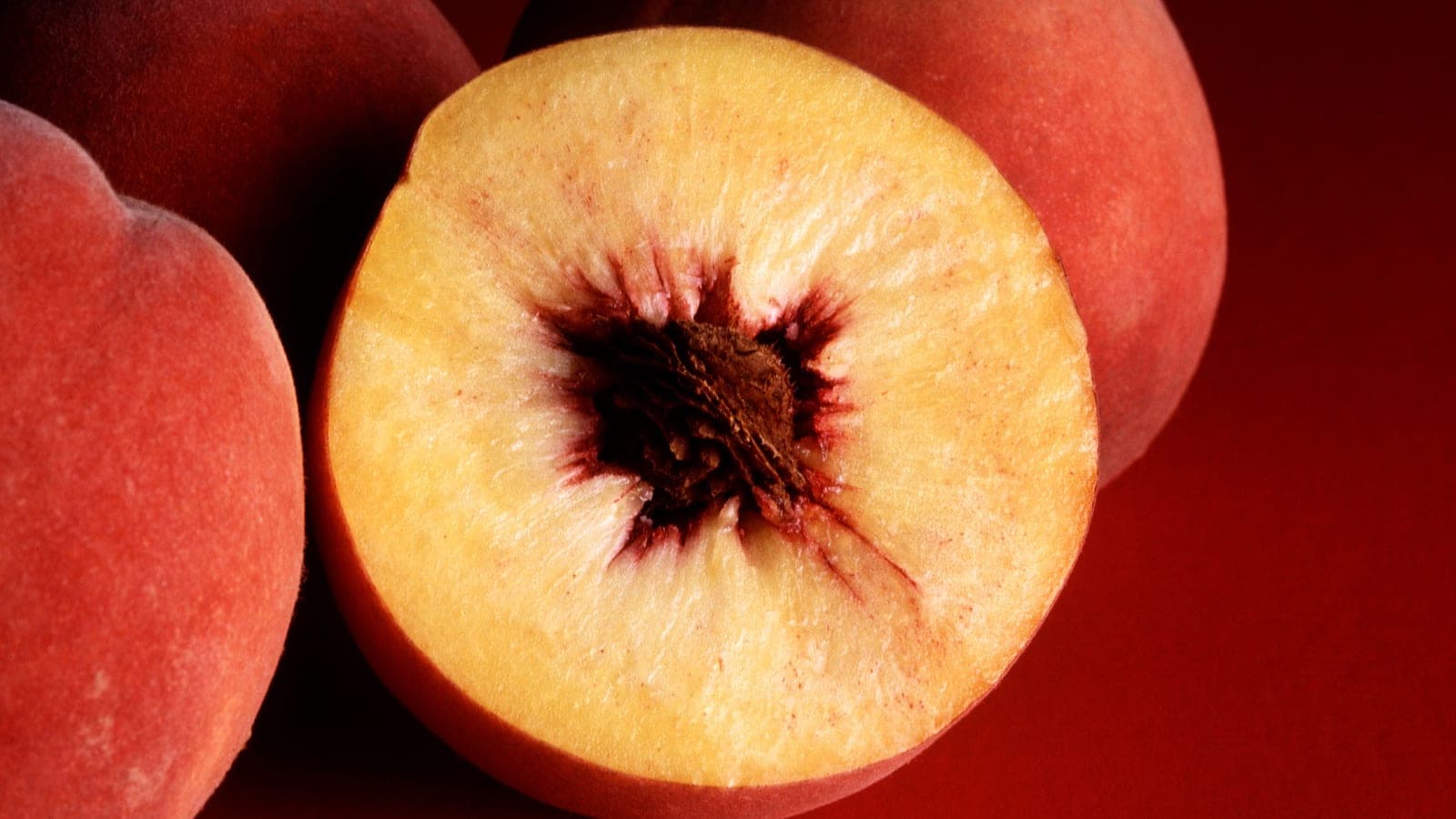Pêches à peau duveteuse, dont l’une ouverte sur son noyau. Duvet ou peau lisse, noyau libre ou collé à la chair : de ces deux caractères naissent quatre noms de fruits - et une seule espèce. (Photo Jack Dykinga, USDA, domaine public.)