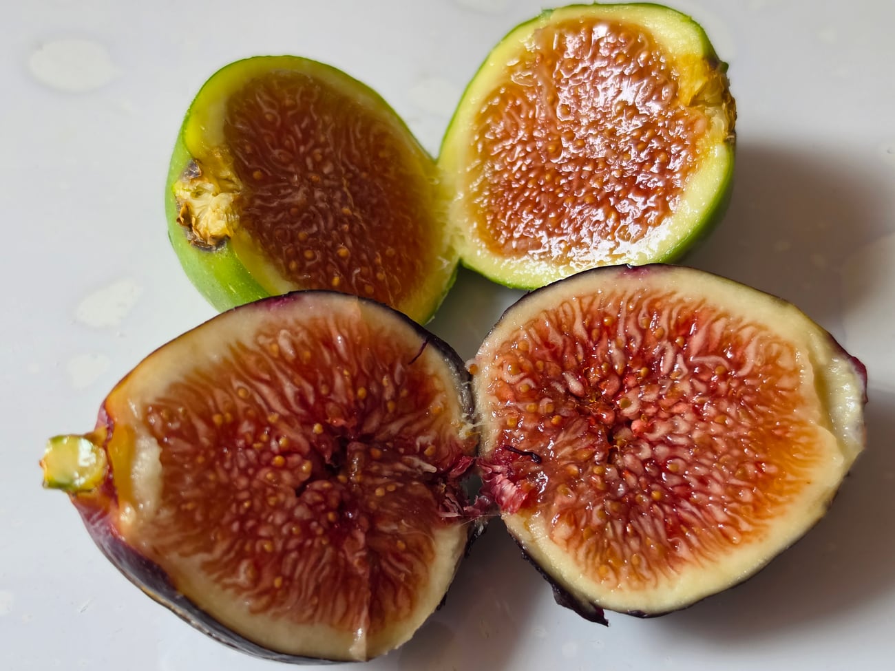 Quatre moitiés de figues, deux à peau verte et deux à peau violette, montrant la cavité tapissée de filaments serrés et de petits grains