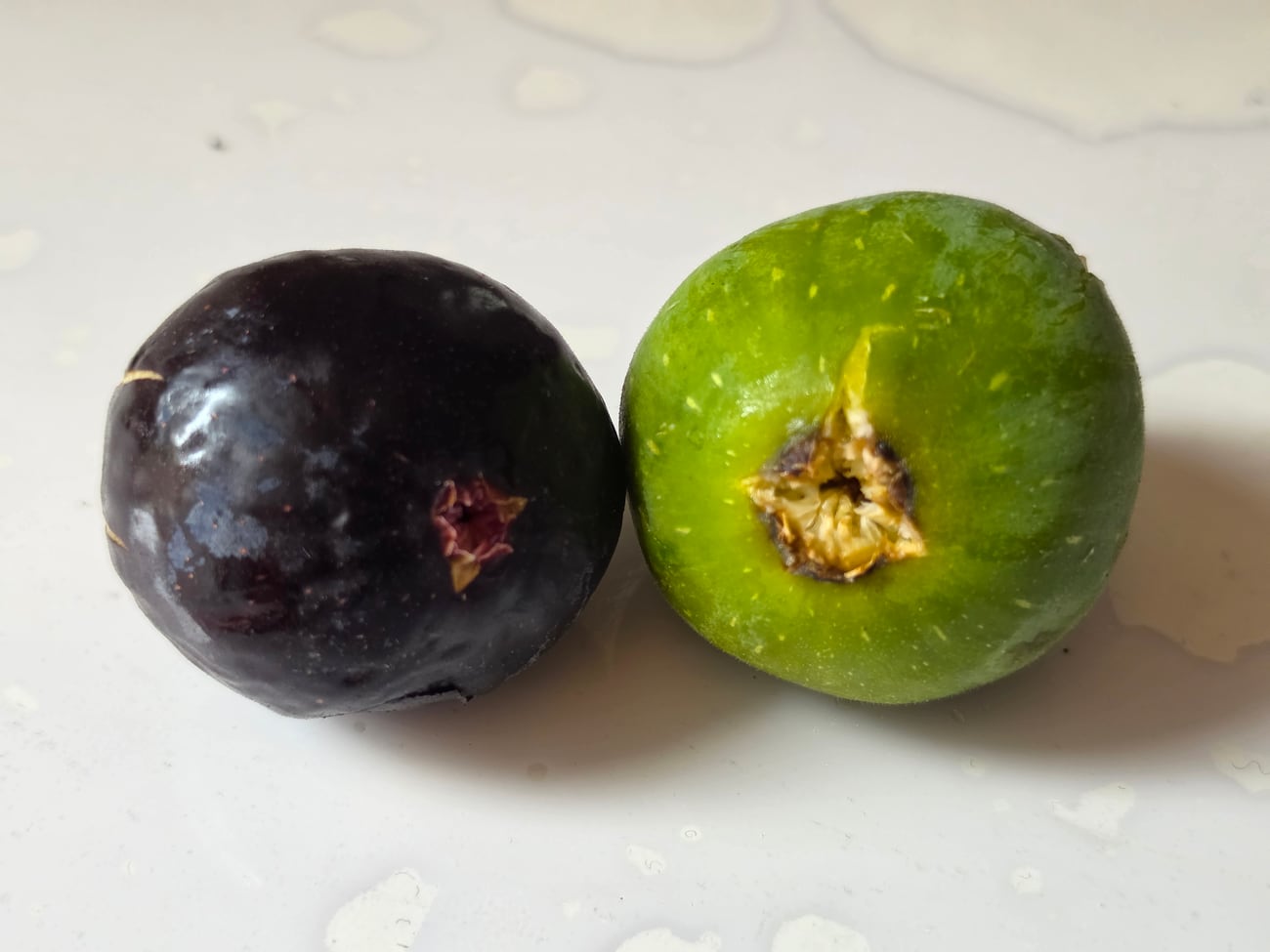 Deux figues entières, une violette et une verte, vues par leur extrémité : au centre de chacune, une petite rosette d’écailles pointues fermant une ouverture