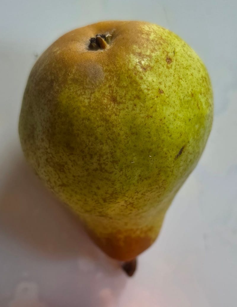 Une poire verte tachetée vue d’en haut : au sommet, l’œil sec ; en bas, au bout de la partie étroite, la courte queue brune